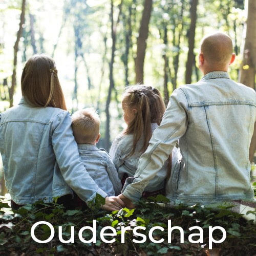 De ouderlijke onderwijzer (3)